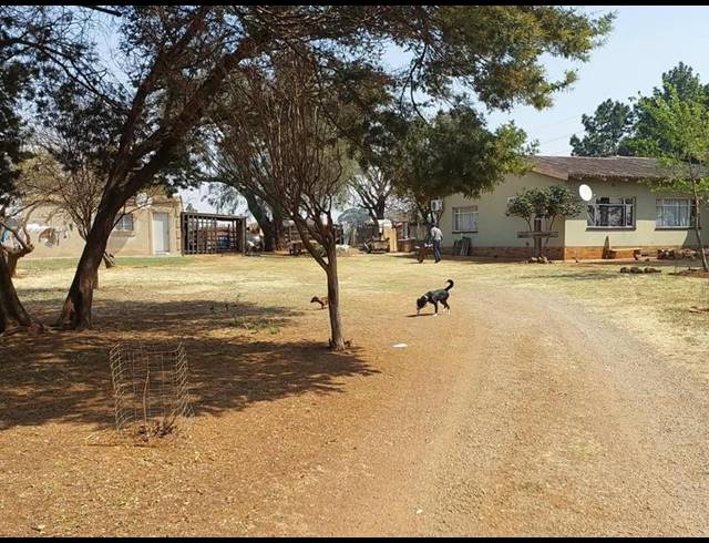 FARM FOR SALE IN MEYERTON CENTRAL